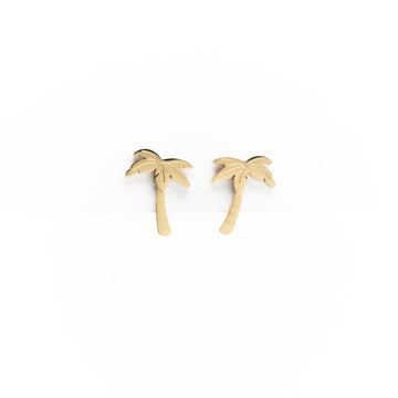 Aretes De Palmera