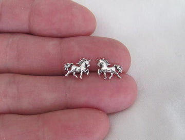 Aretes De Caballo Plata