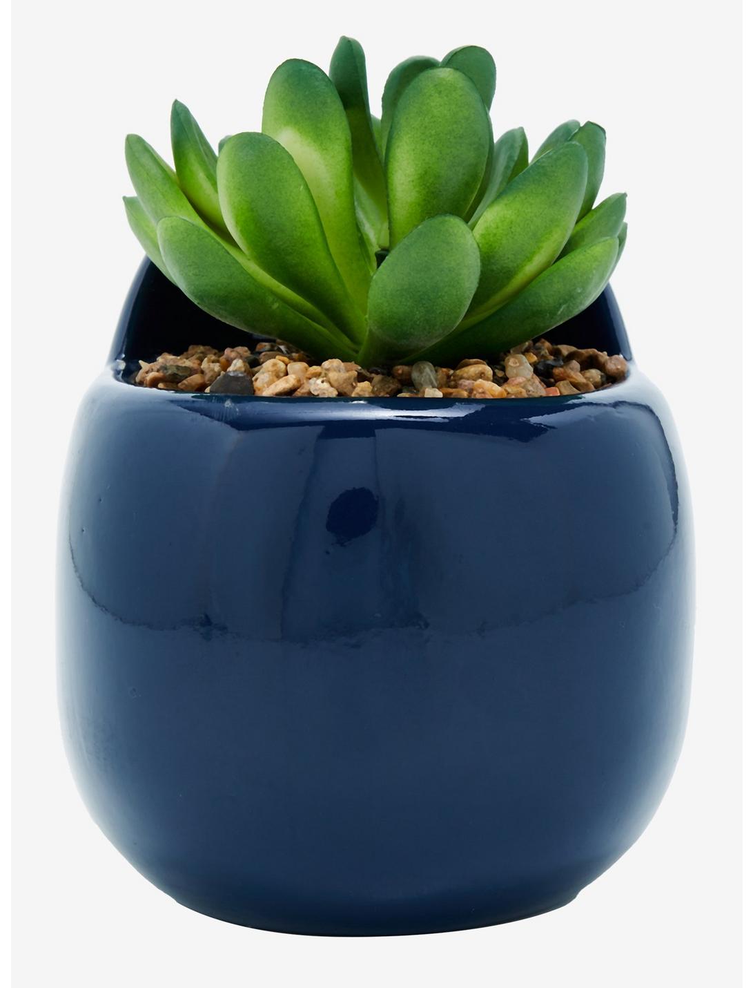 Sailor Moon Planta Suculenta