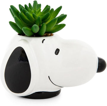 Snoopy Planta Suculenta