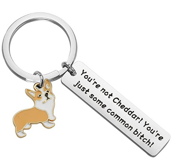 Brooklyn 99 Llavero Corgi
