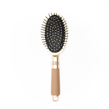 Cepillo Avellana Ovalado