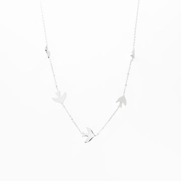 Collar Multidije De Aves