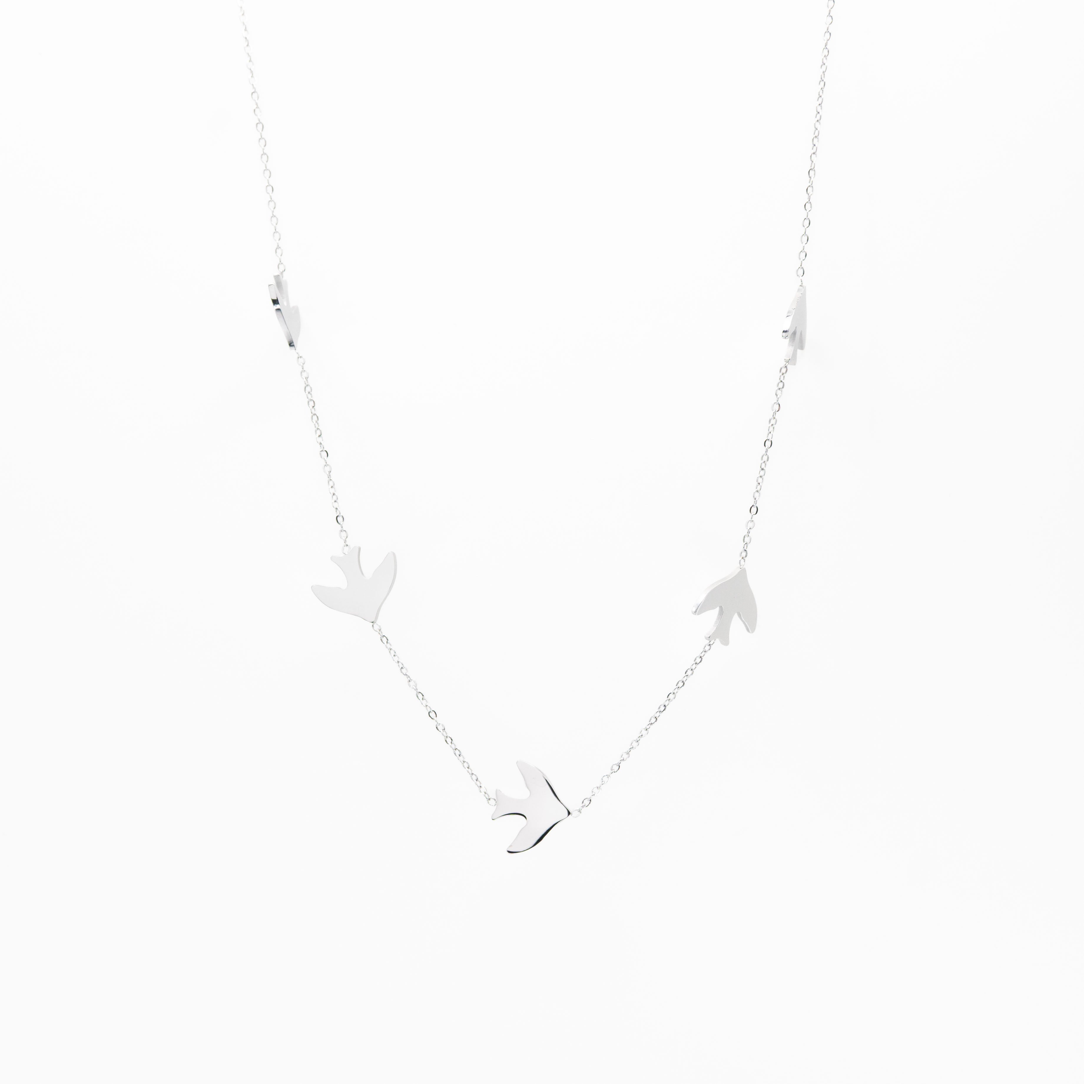 Collar Multidije De Aves