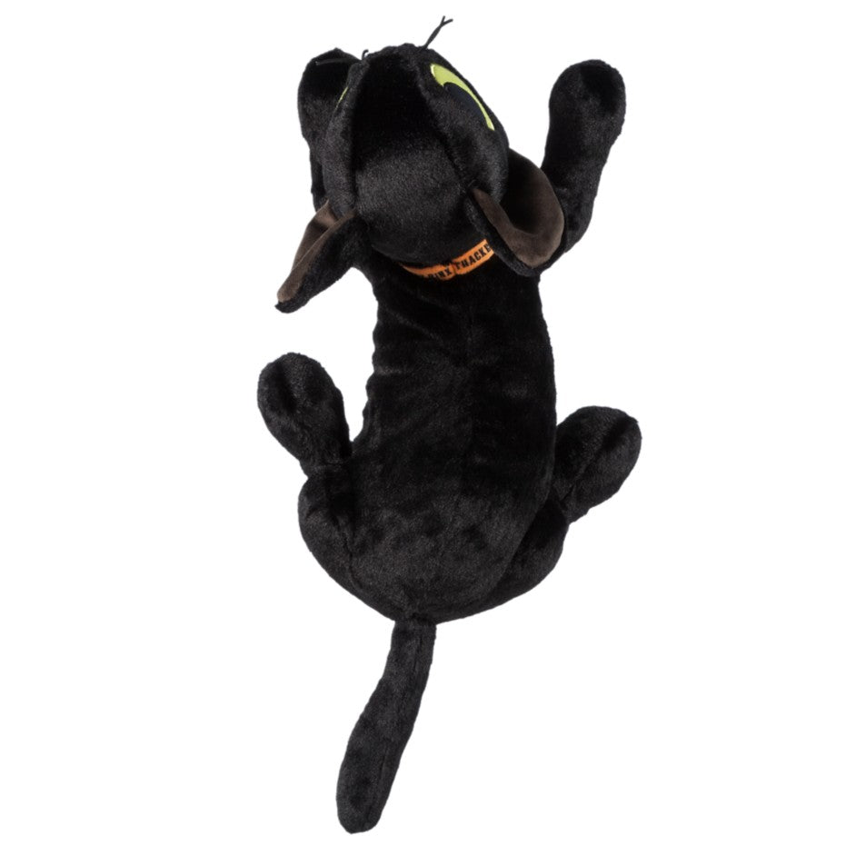 Hocus Pocus Peluche Gato