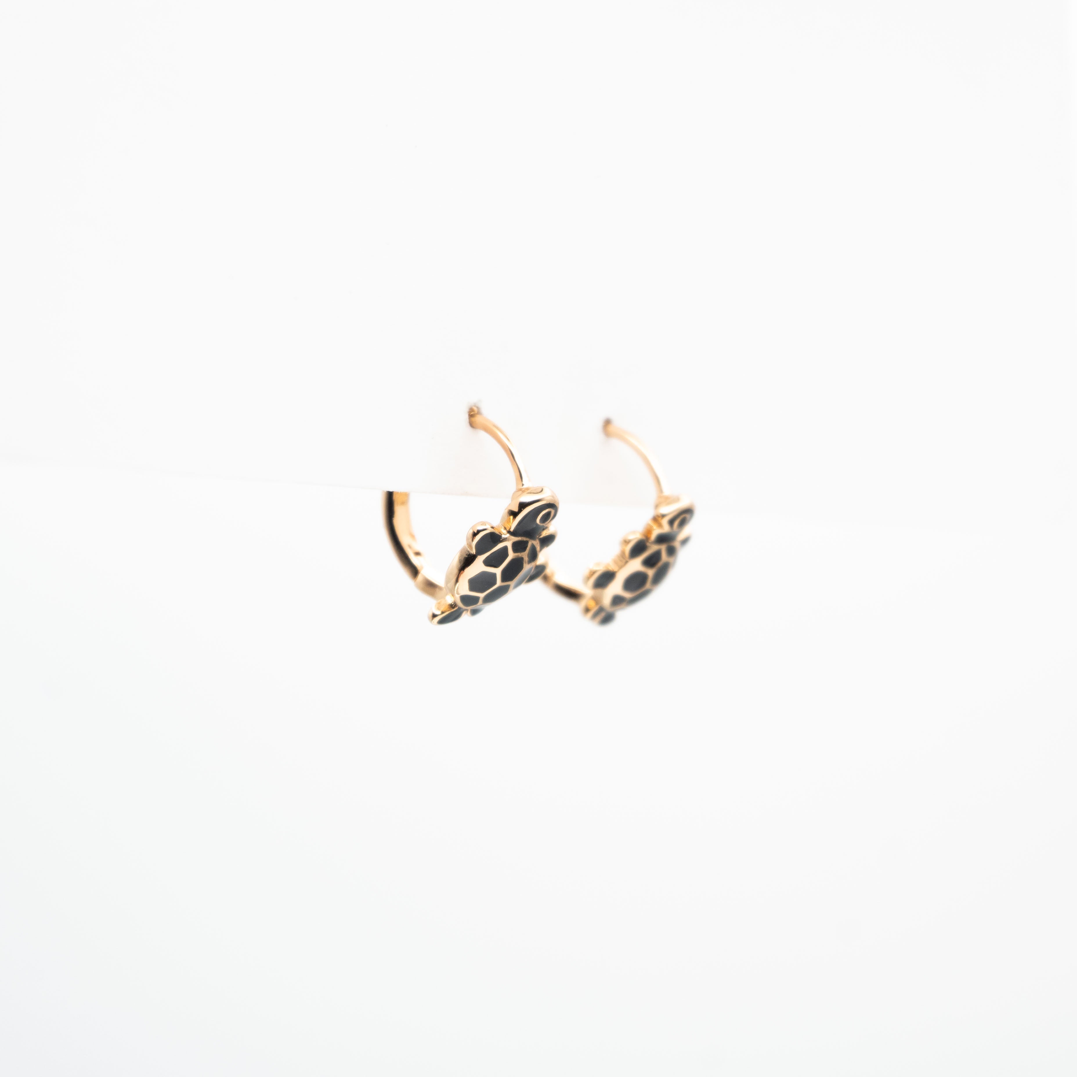 Set De Aretes Y Dije De Tortuga