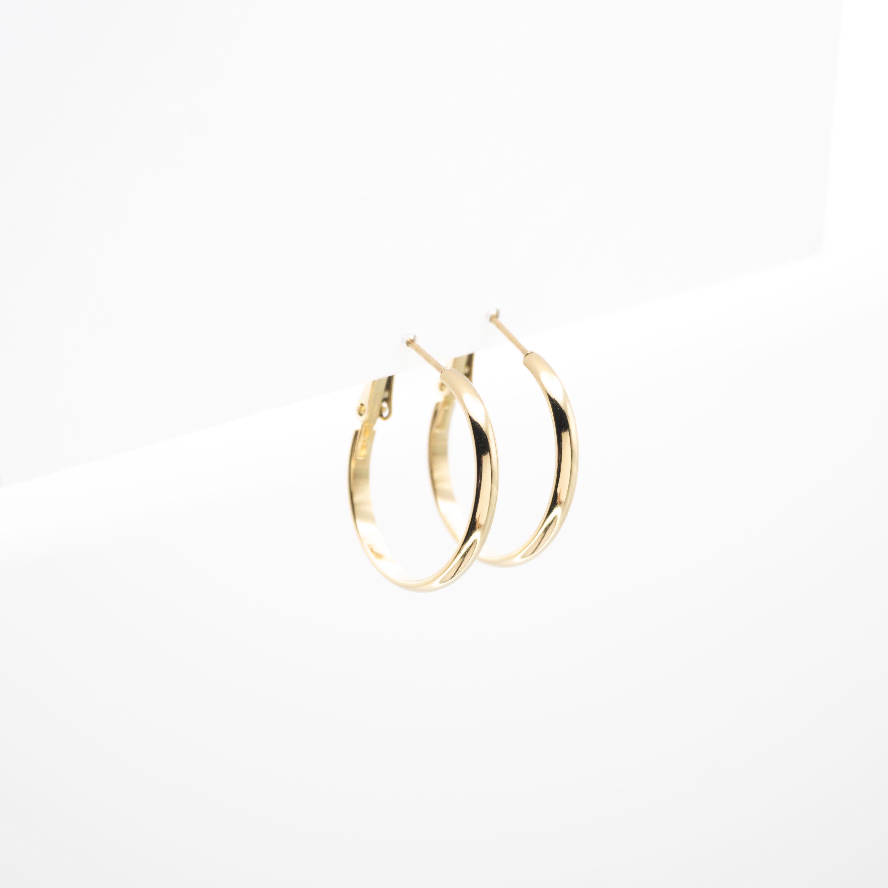 Aretes De Argolla