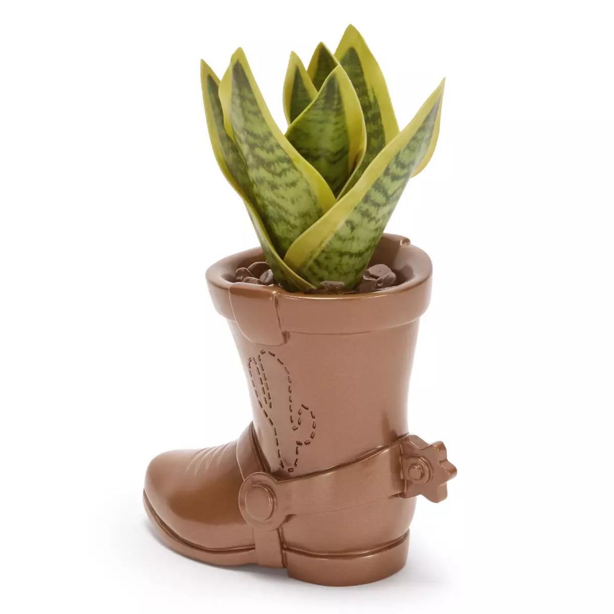 Toy Story Bota Suculenta