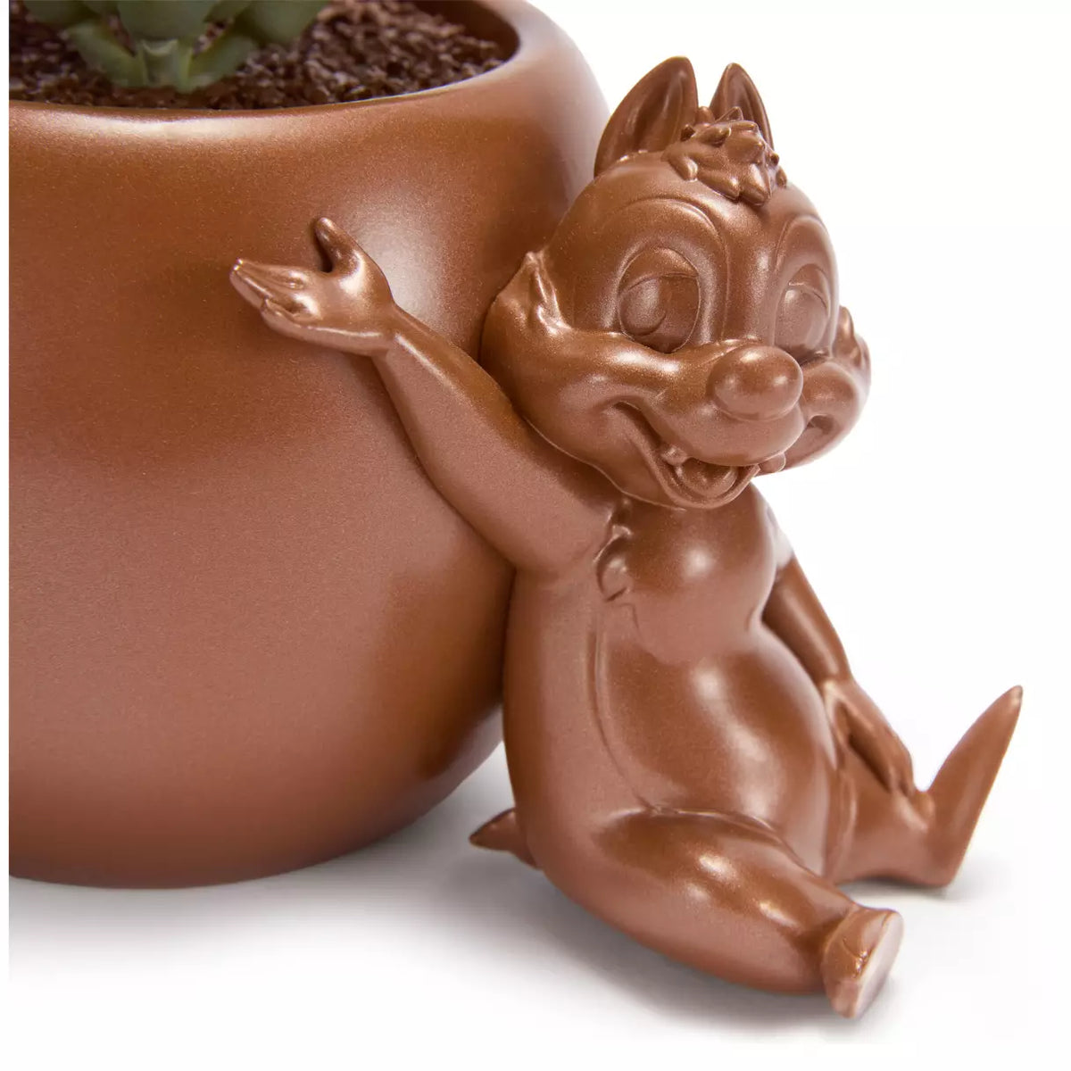 Chip n Dale Planta Suculenta