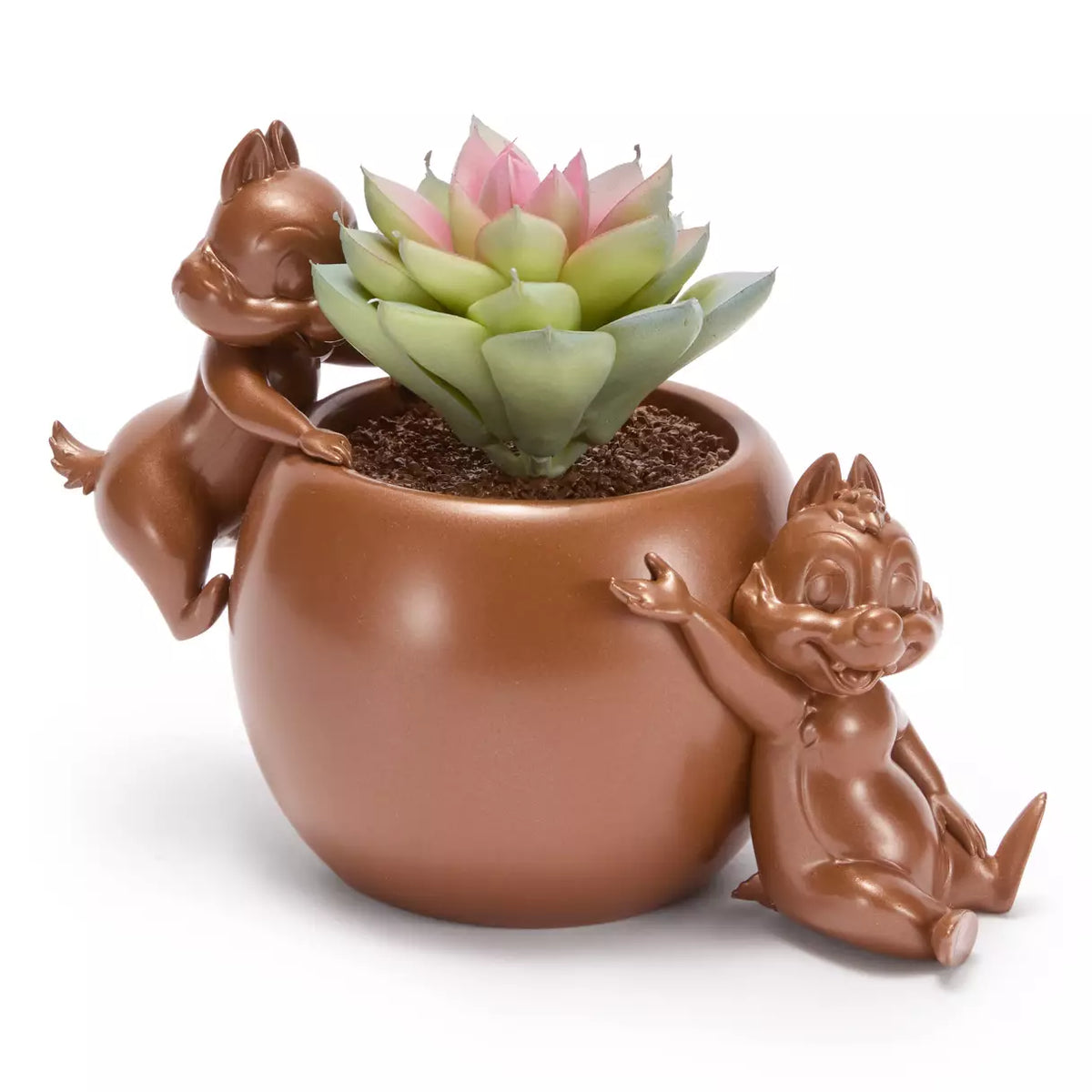 Chip n Dale Planta Suculenta