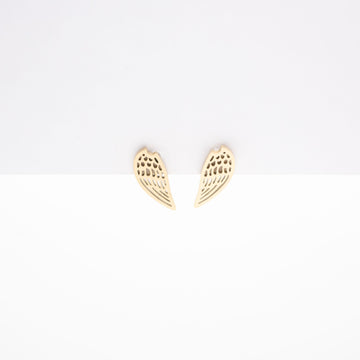 Aretes De Alas