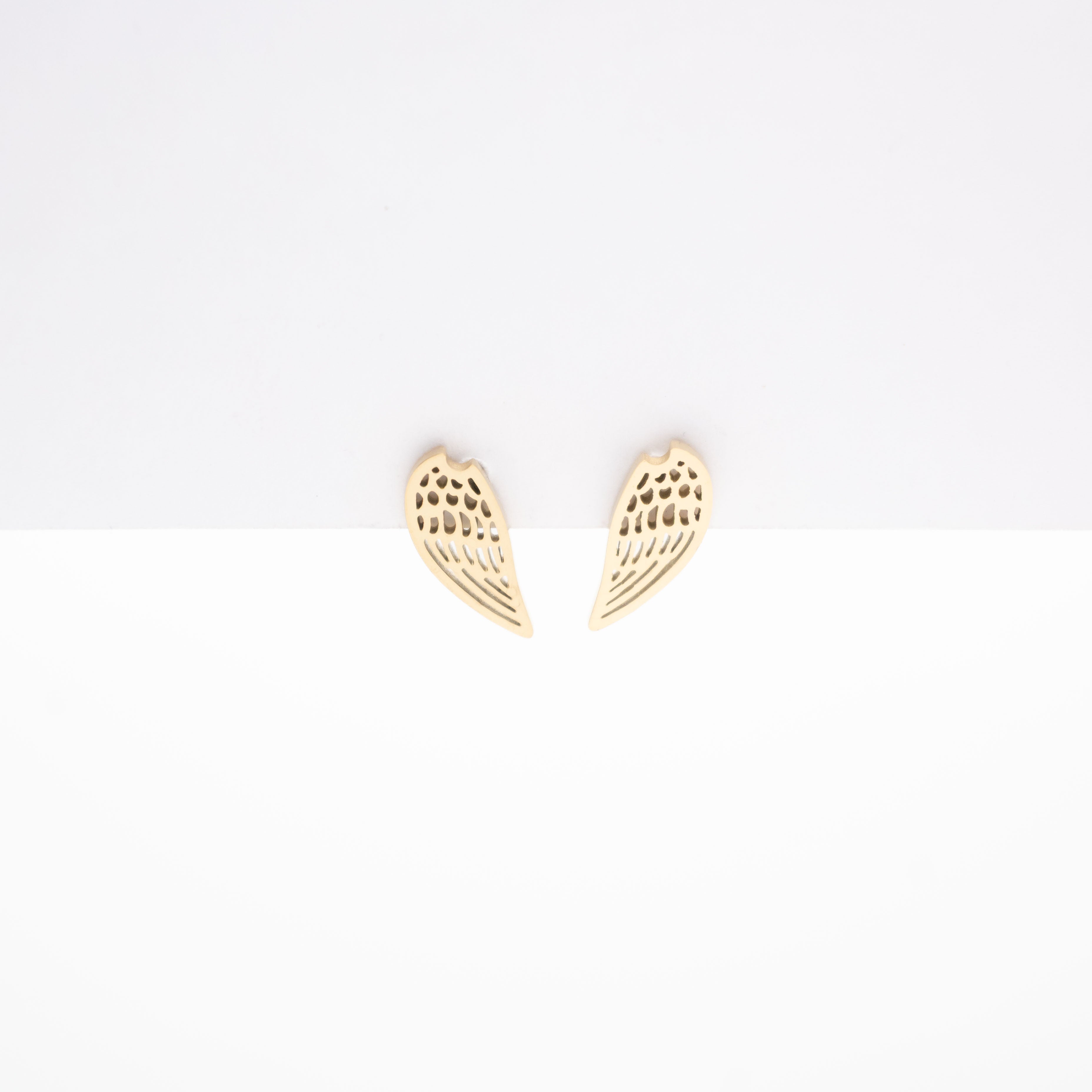 Aretes De Alas