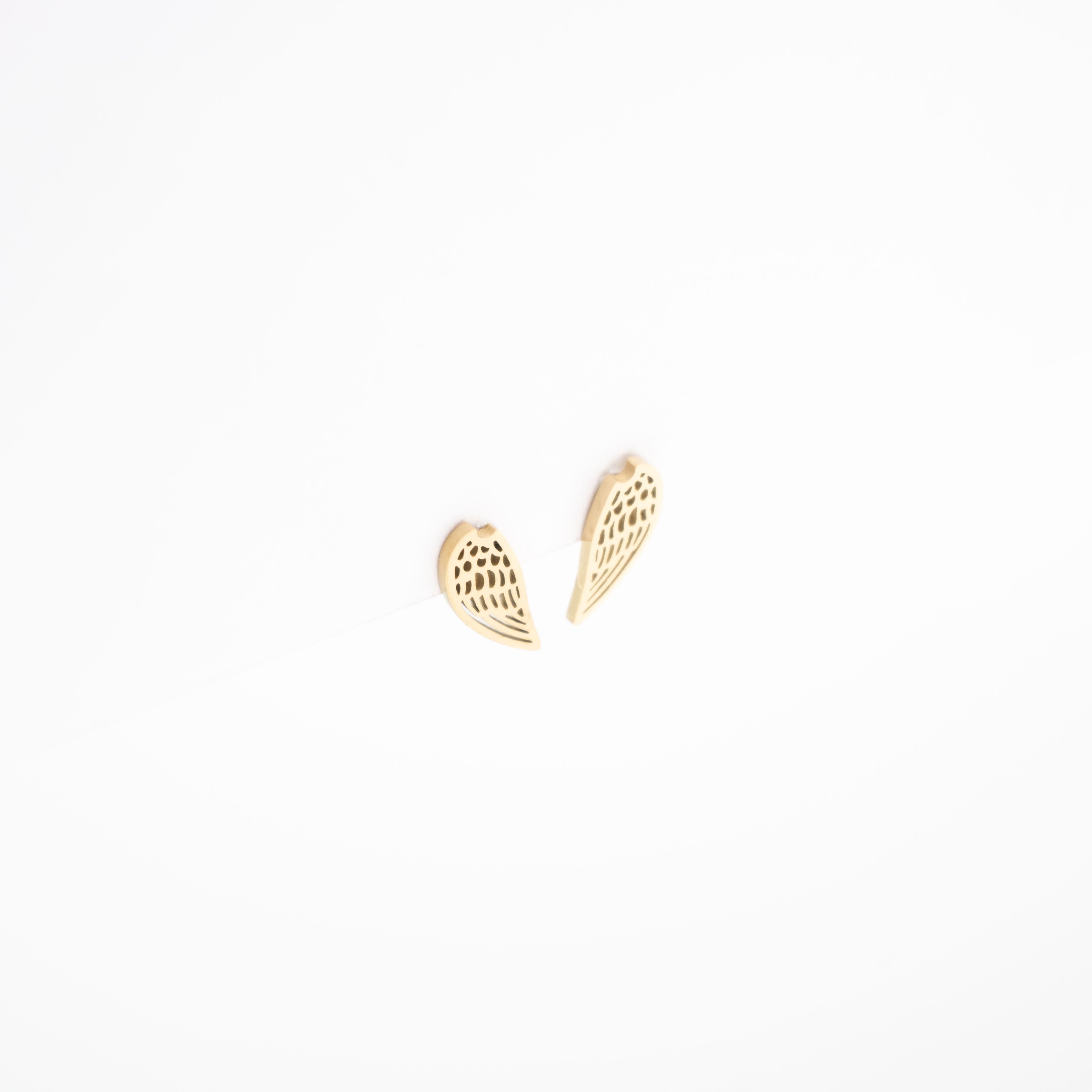 Aretes De Alas