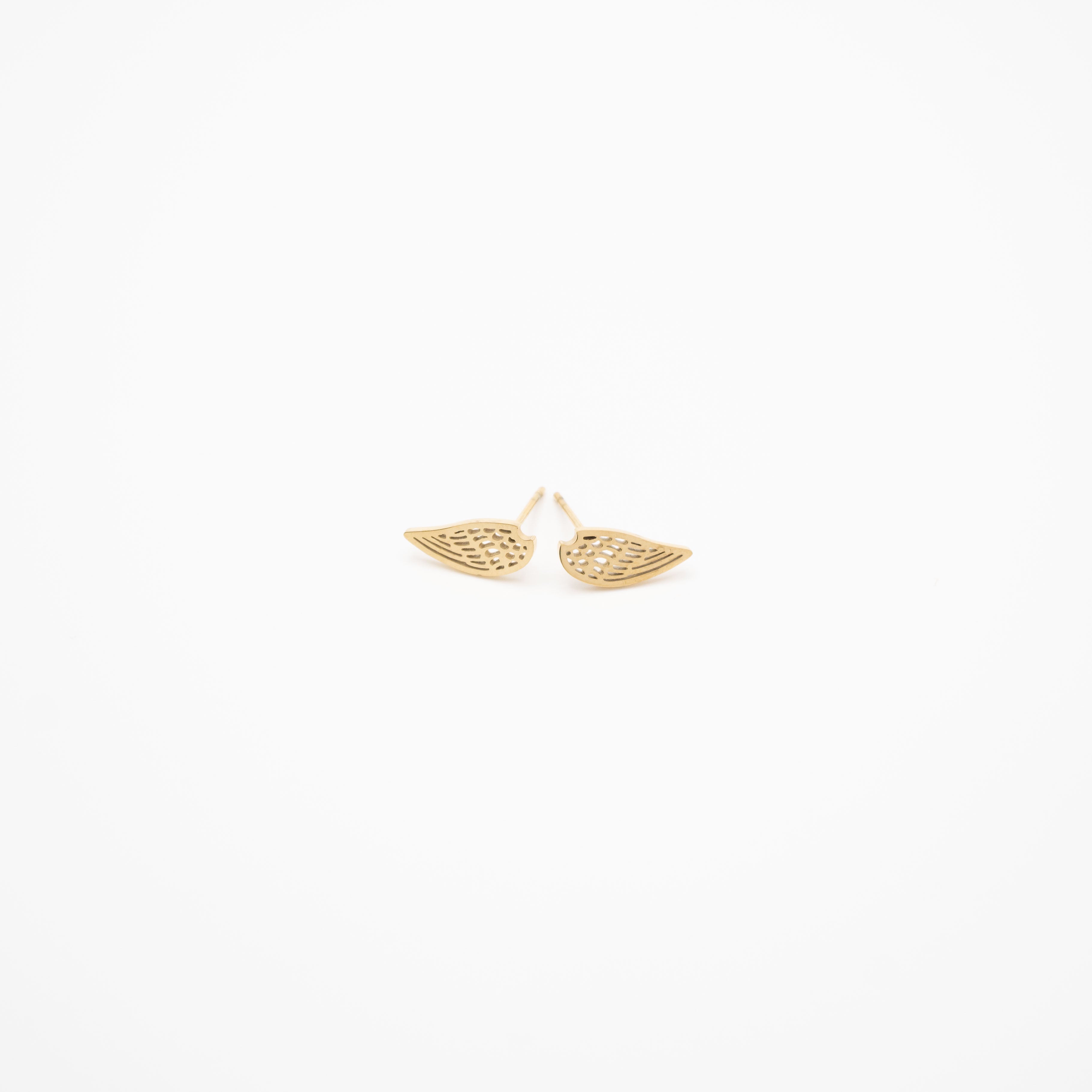 Aretes De Alas