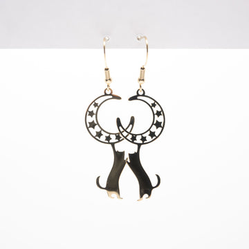 Aretes De Gato Y Luna