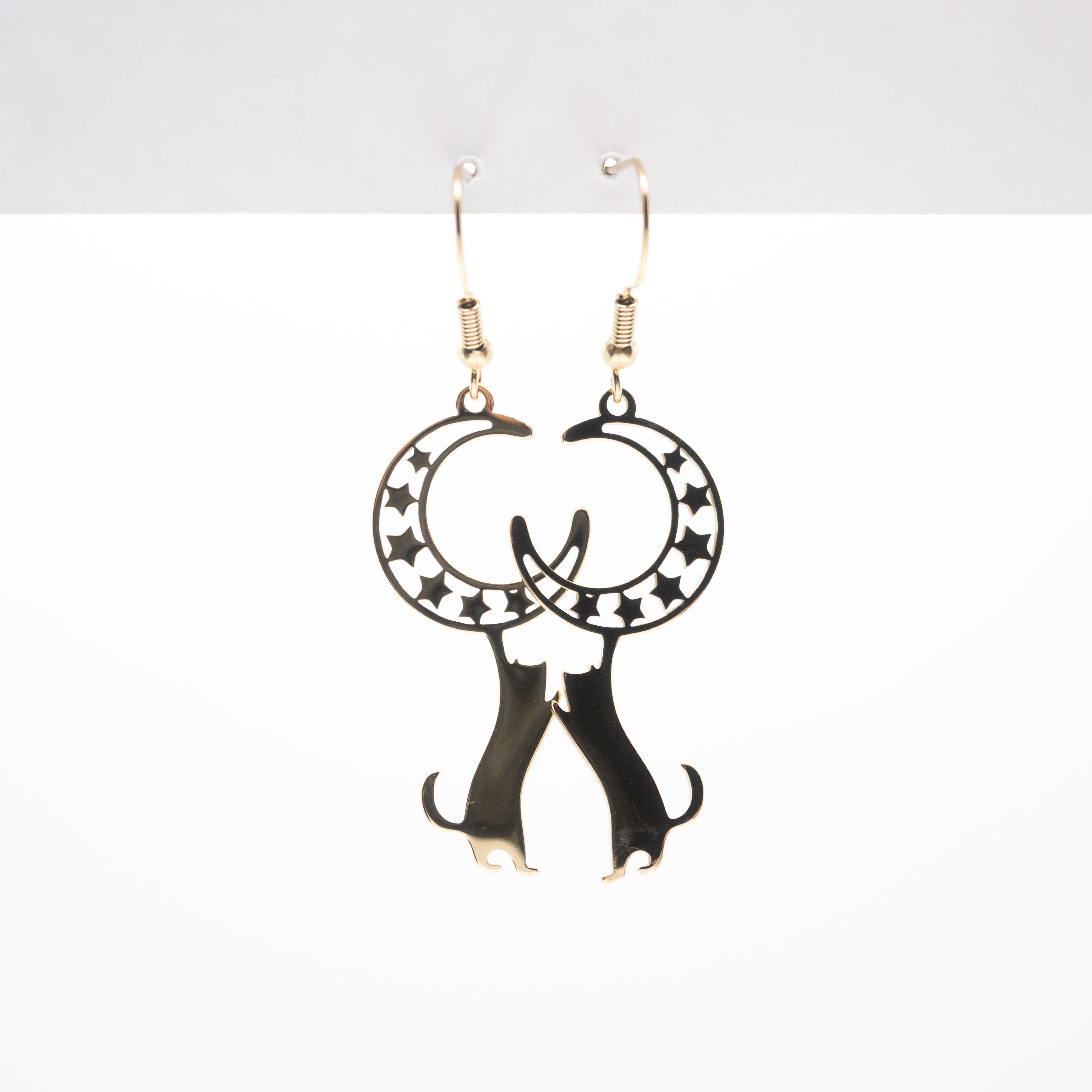 Aretes De Gato Y Luna