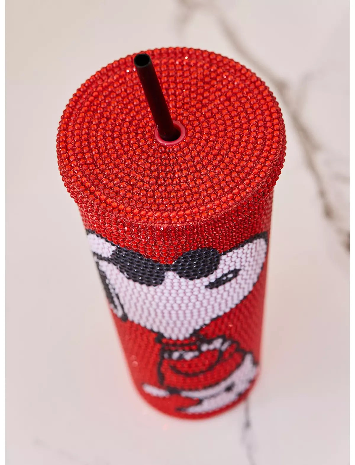 Peanuts Snoopy Joe Cool Piedras Termo Carnival