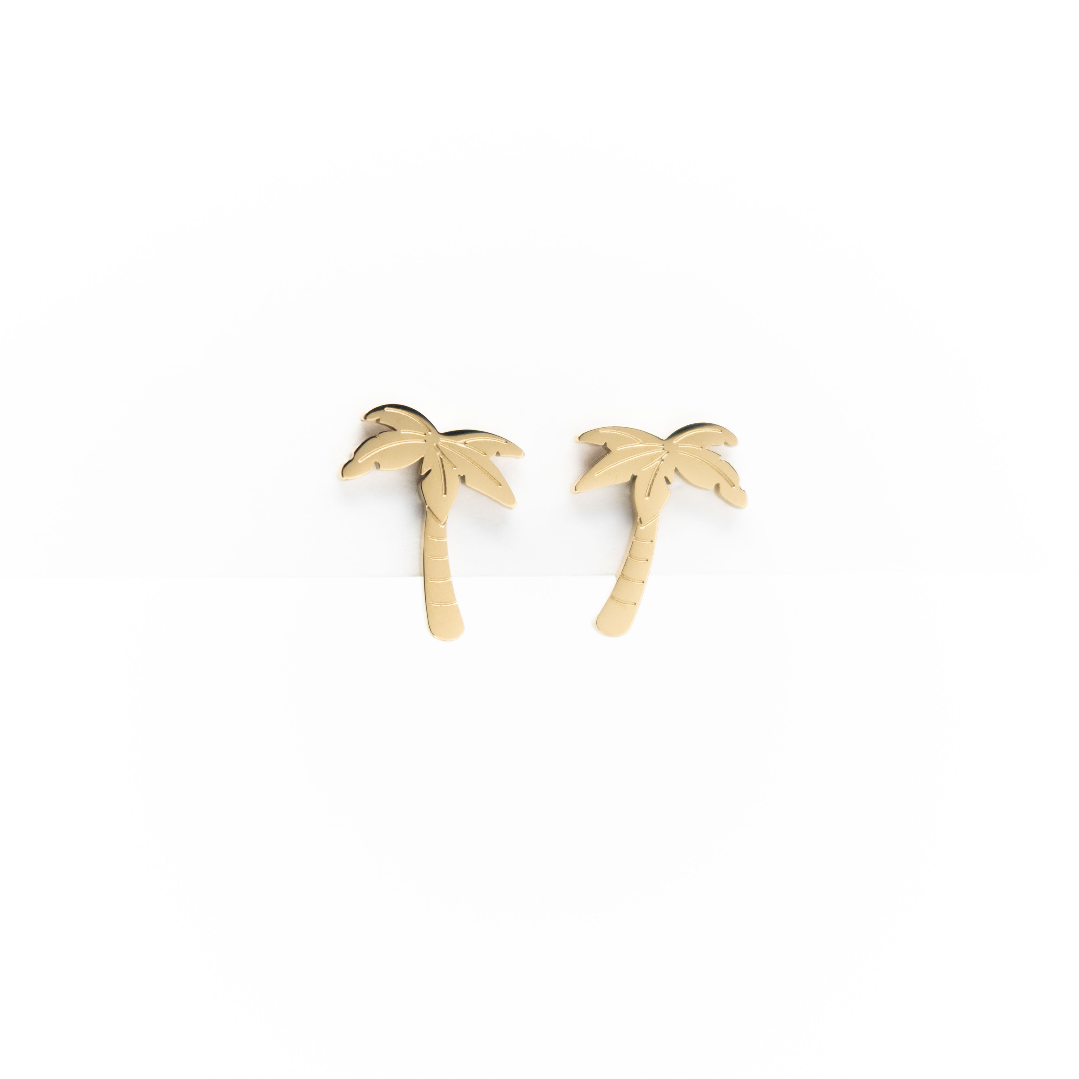 Aretes De Palmera