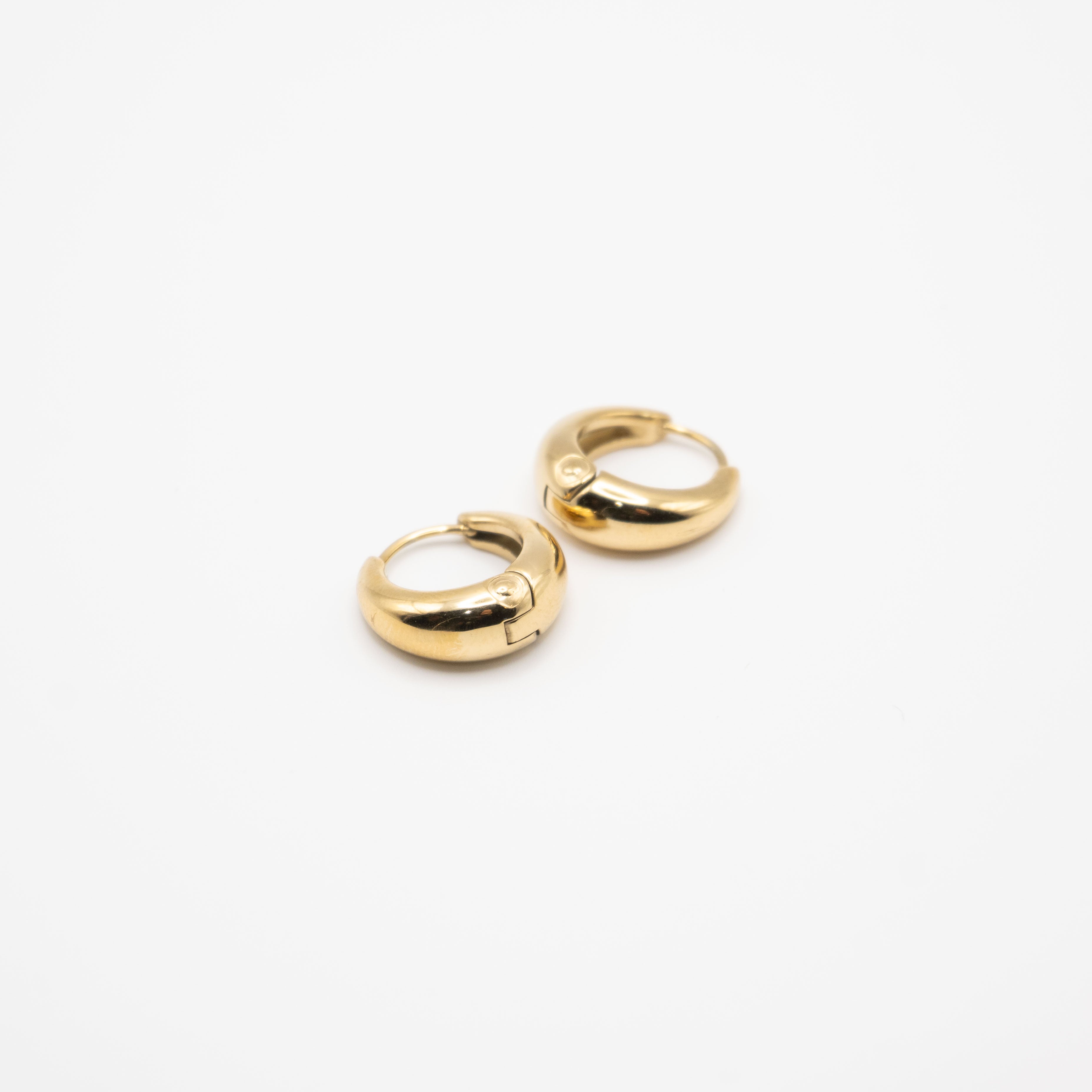 Aretes De Argolla