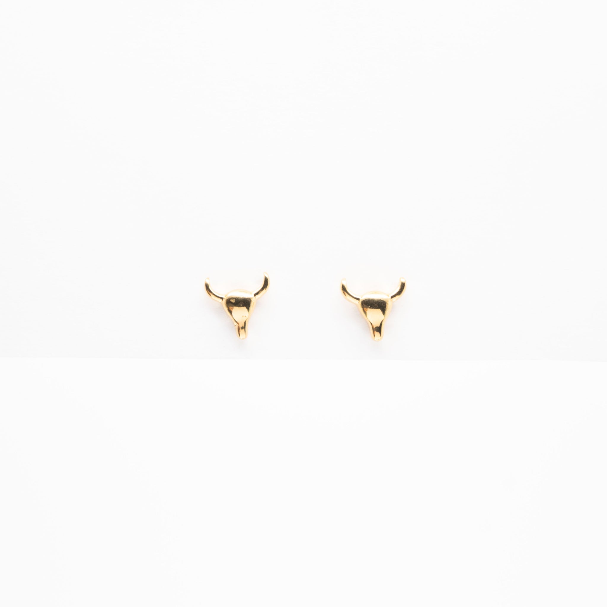 Aretes De Toro