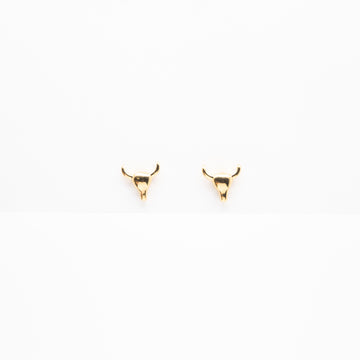 Aretes De Toro