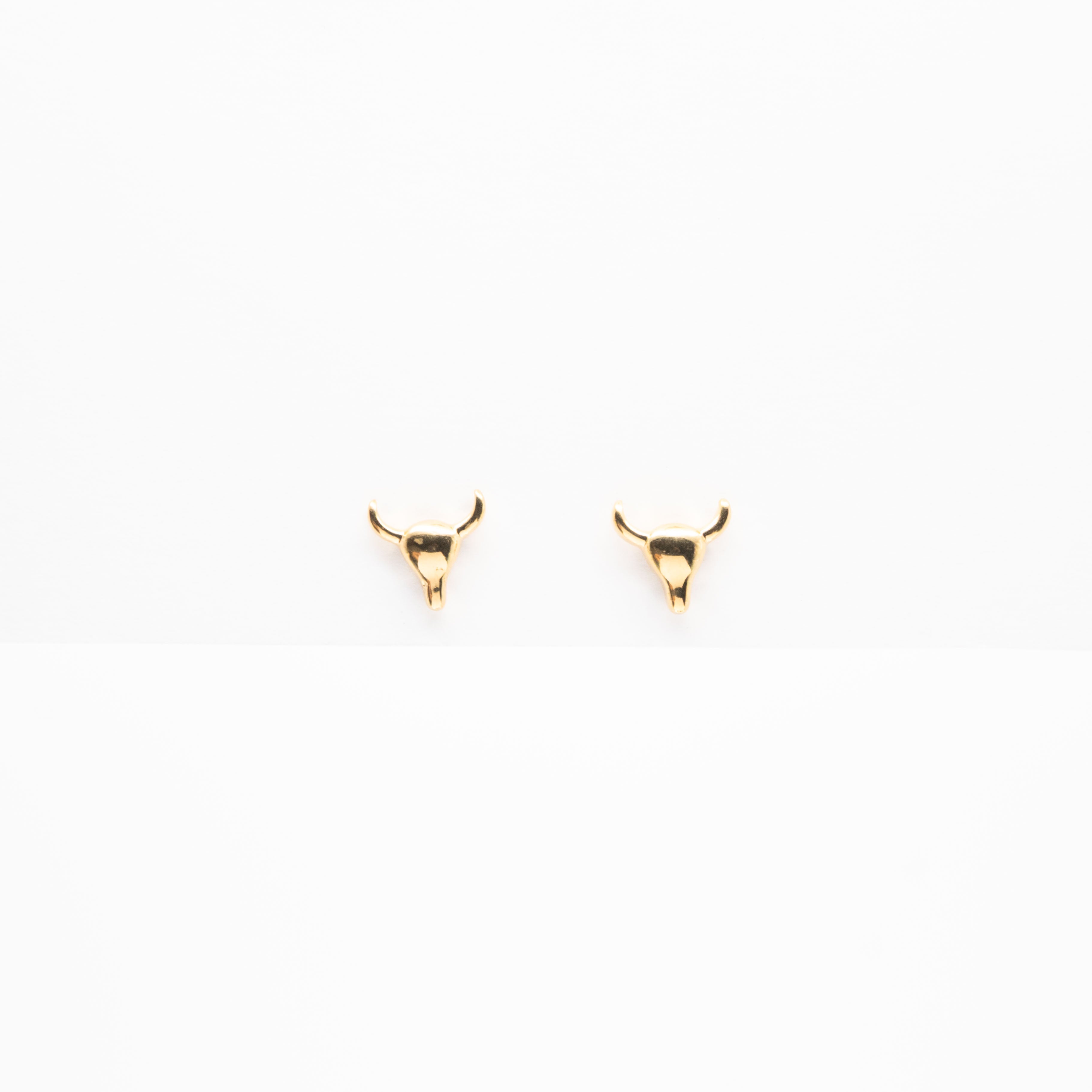 Aretes De Toro