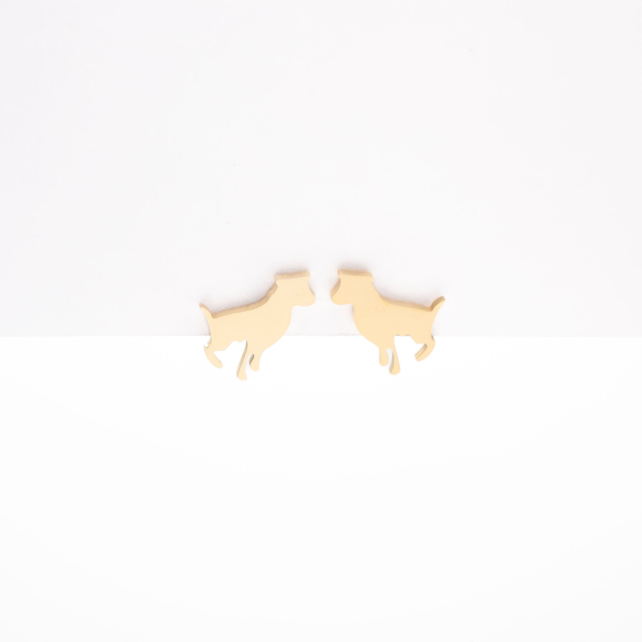 Aretes De Perro