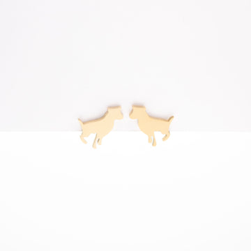 Aretes De Perro