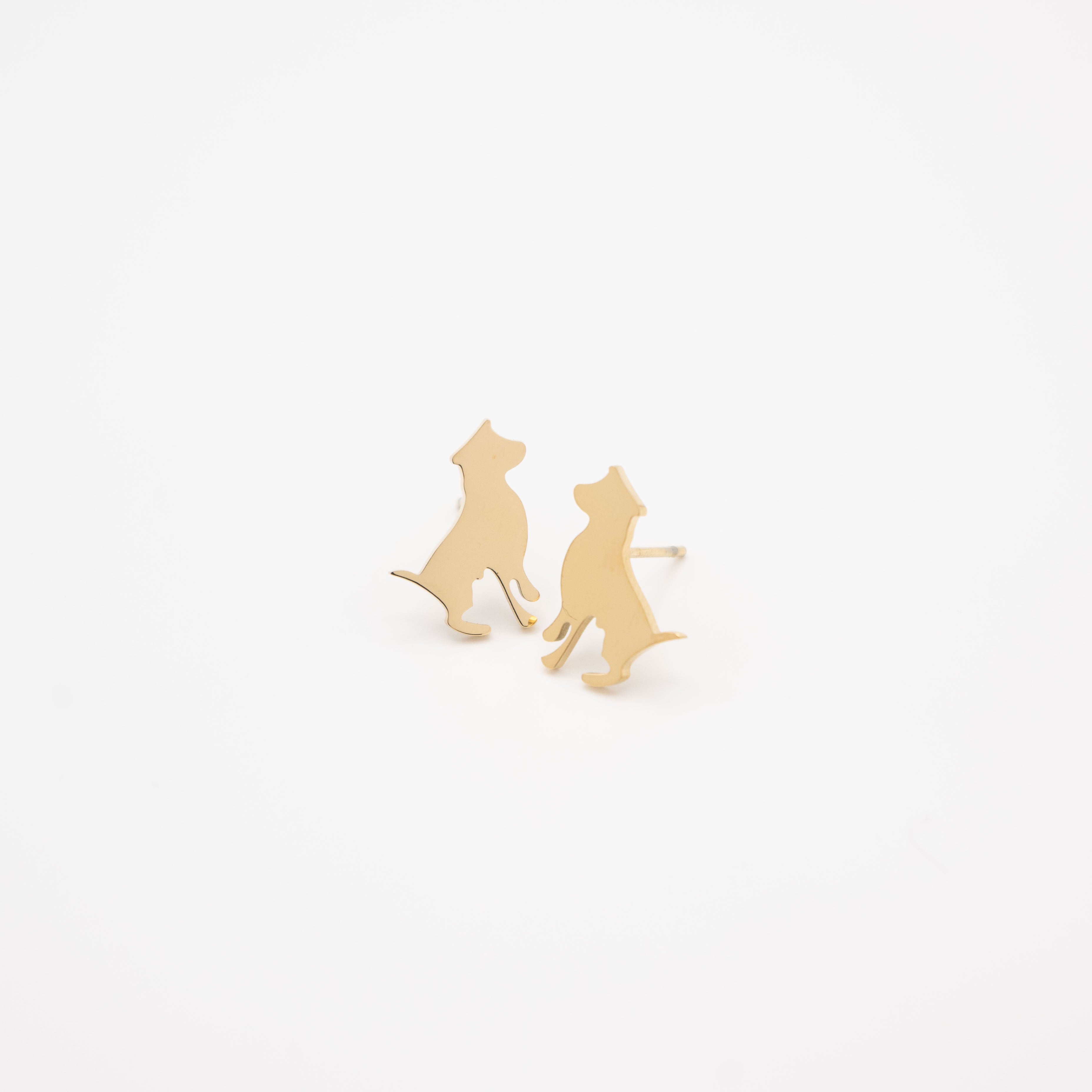 Aretes De Perro