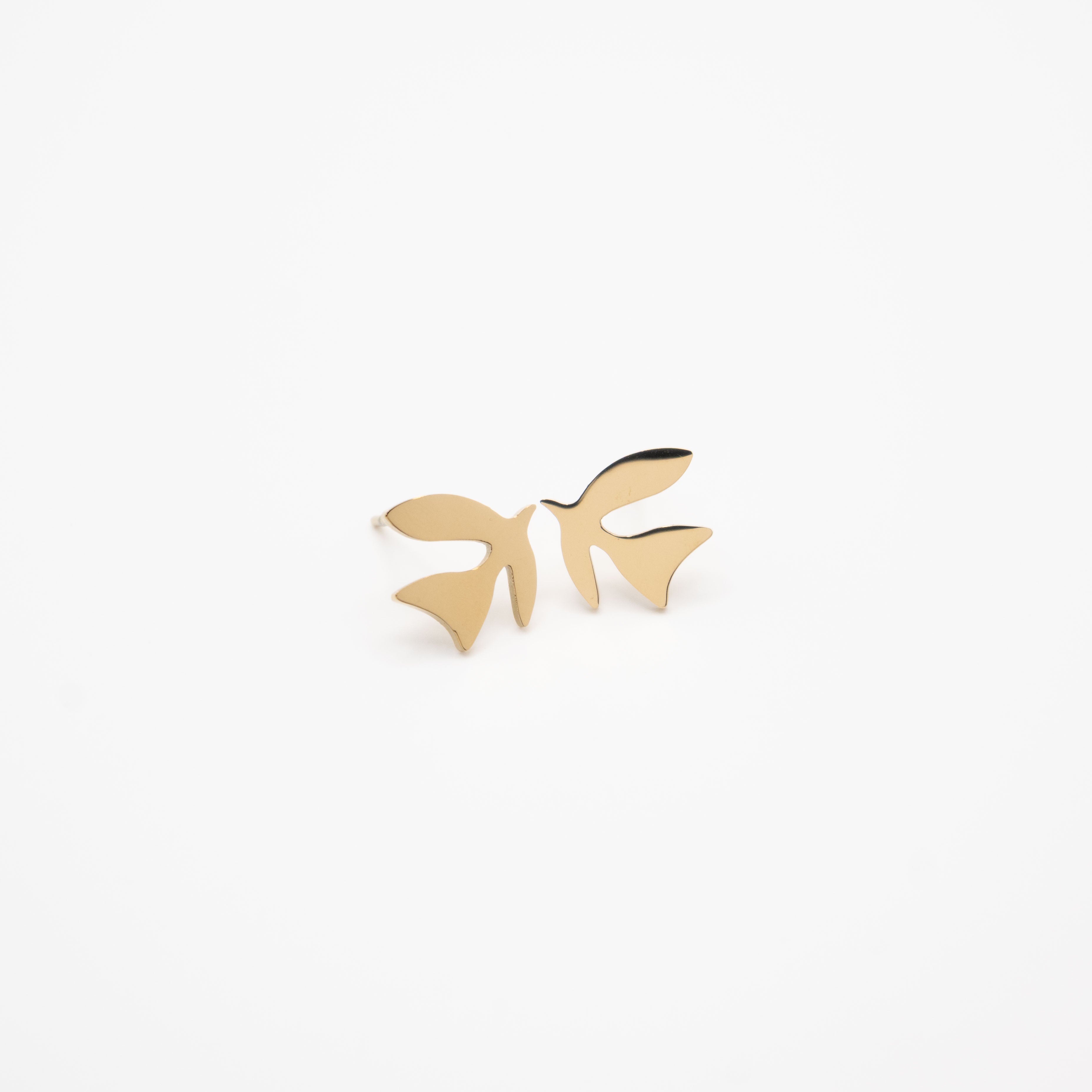 Aretes De Ave