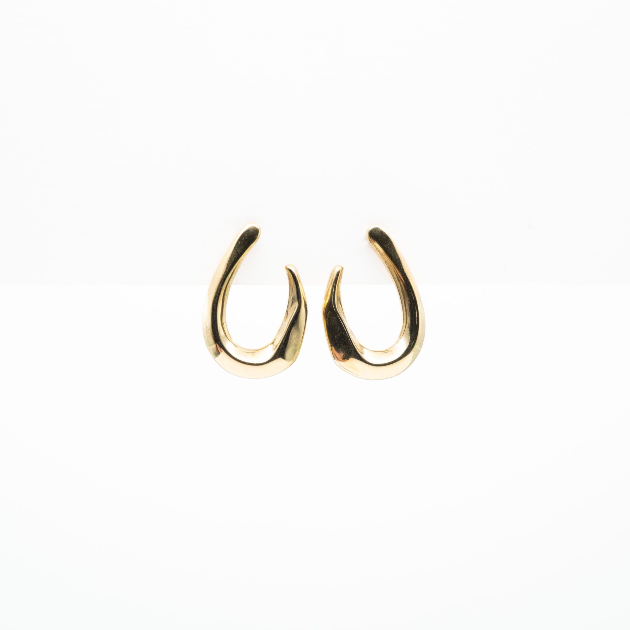Aretes De Curva Ornamental