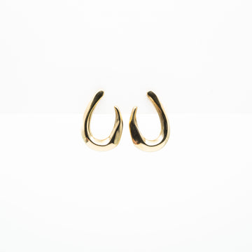 Aretes De Curva Ornamental