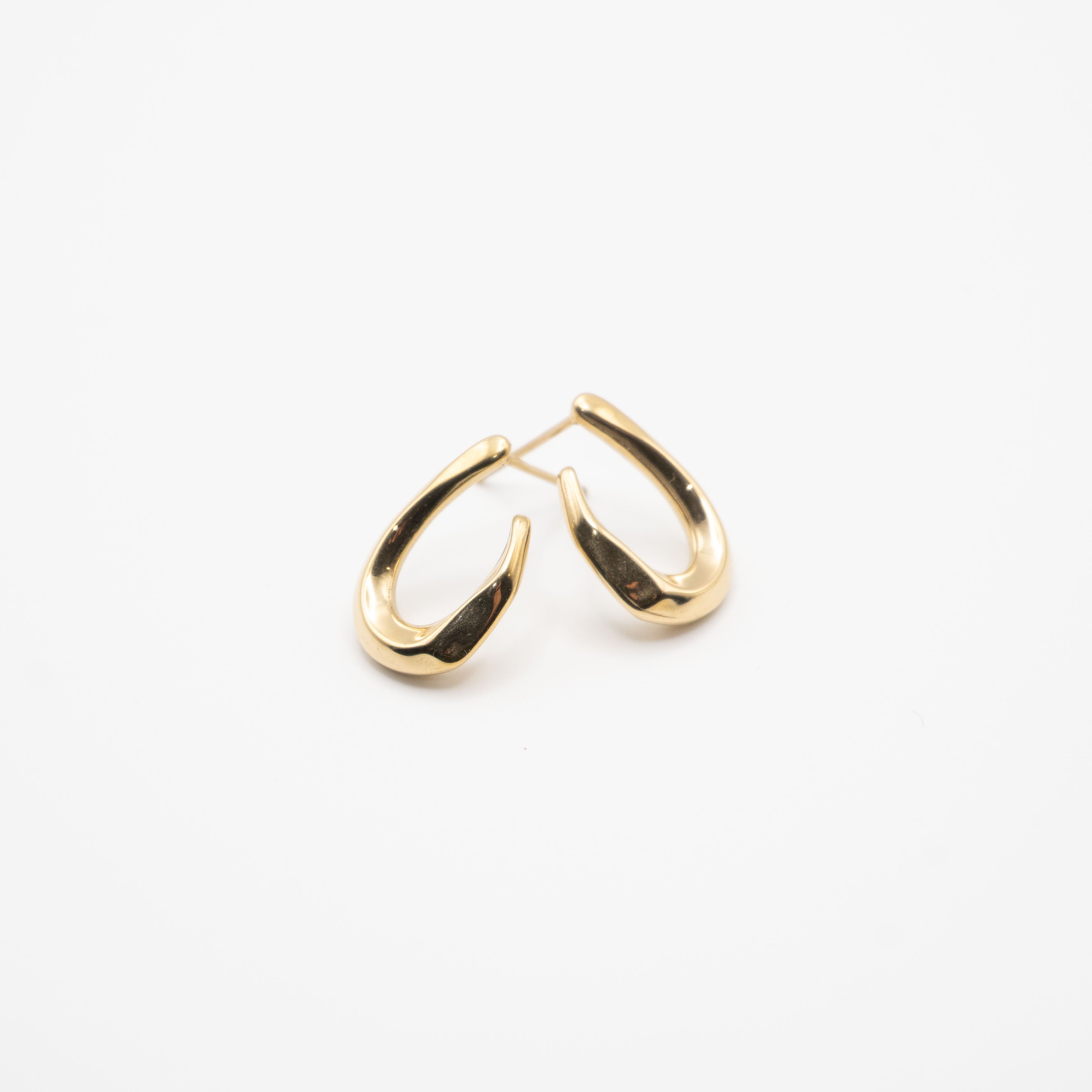 Aretes De Curva Ornamental