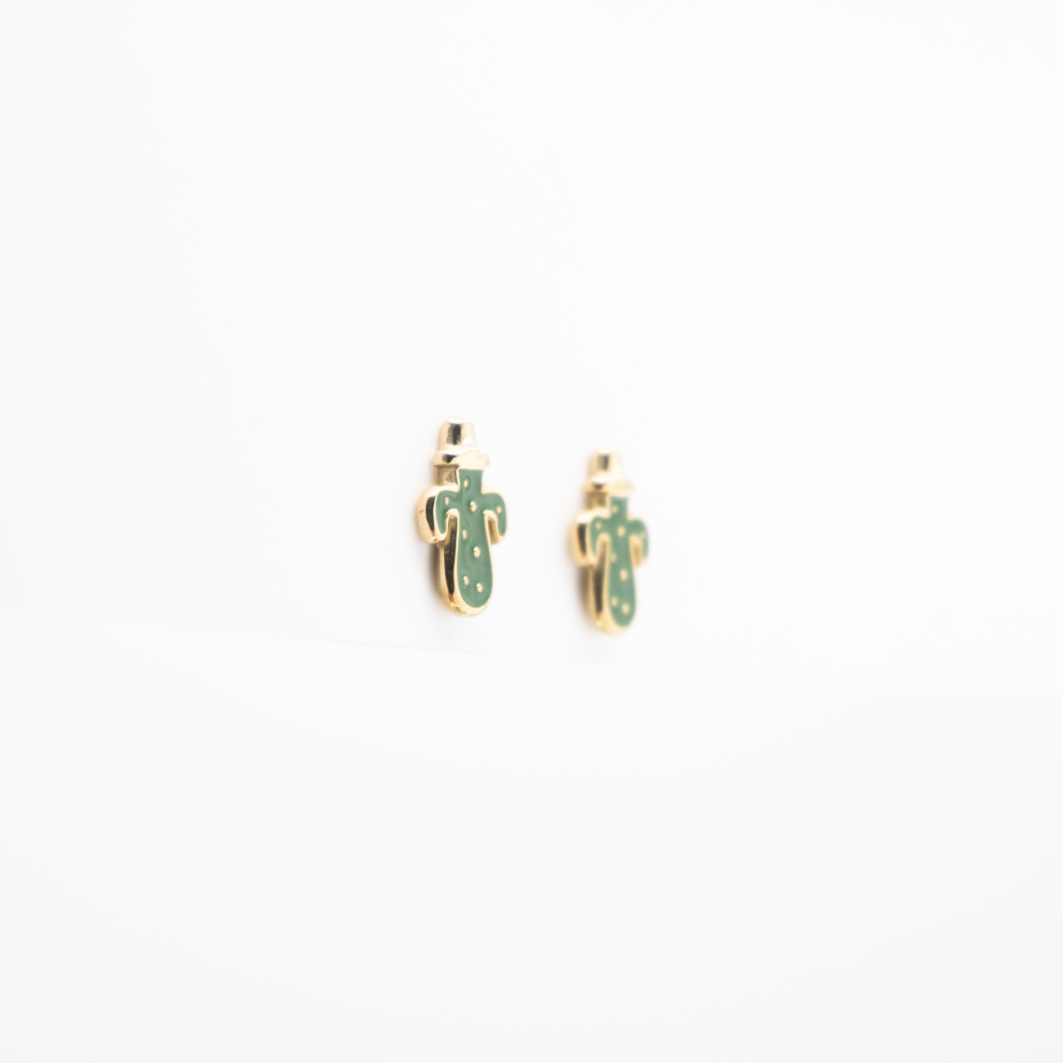Aretes De Cactus