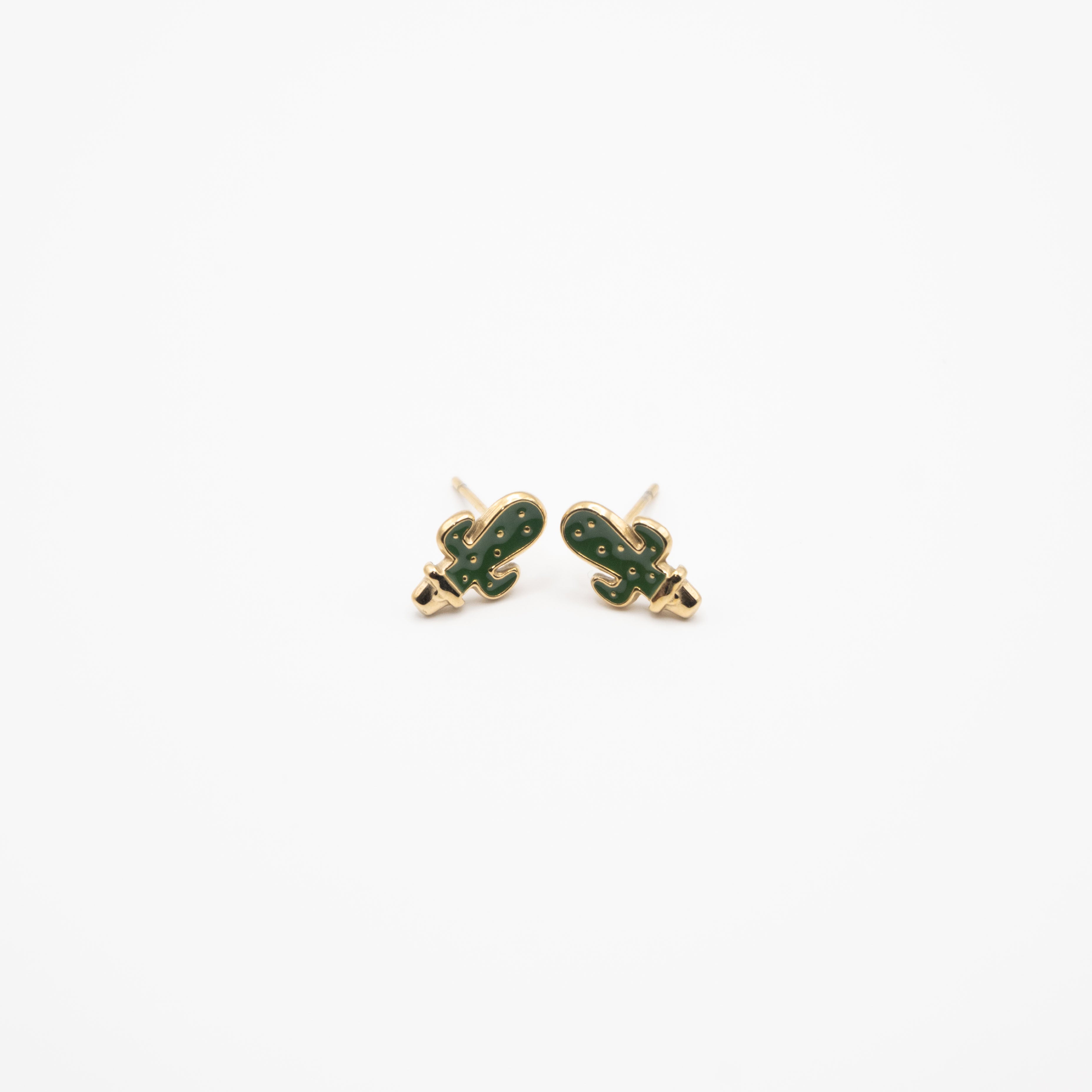 Aretes De Cactus