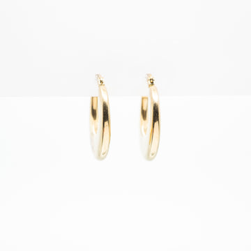 Aretes De Argolla