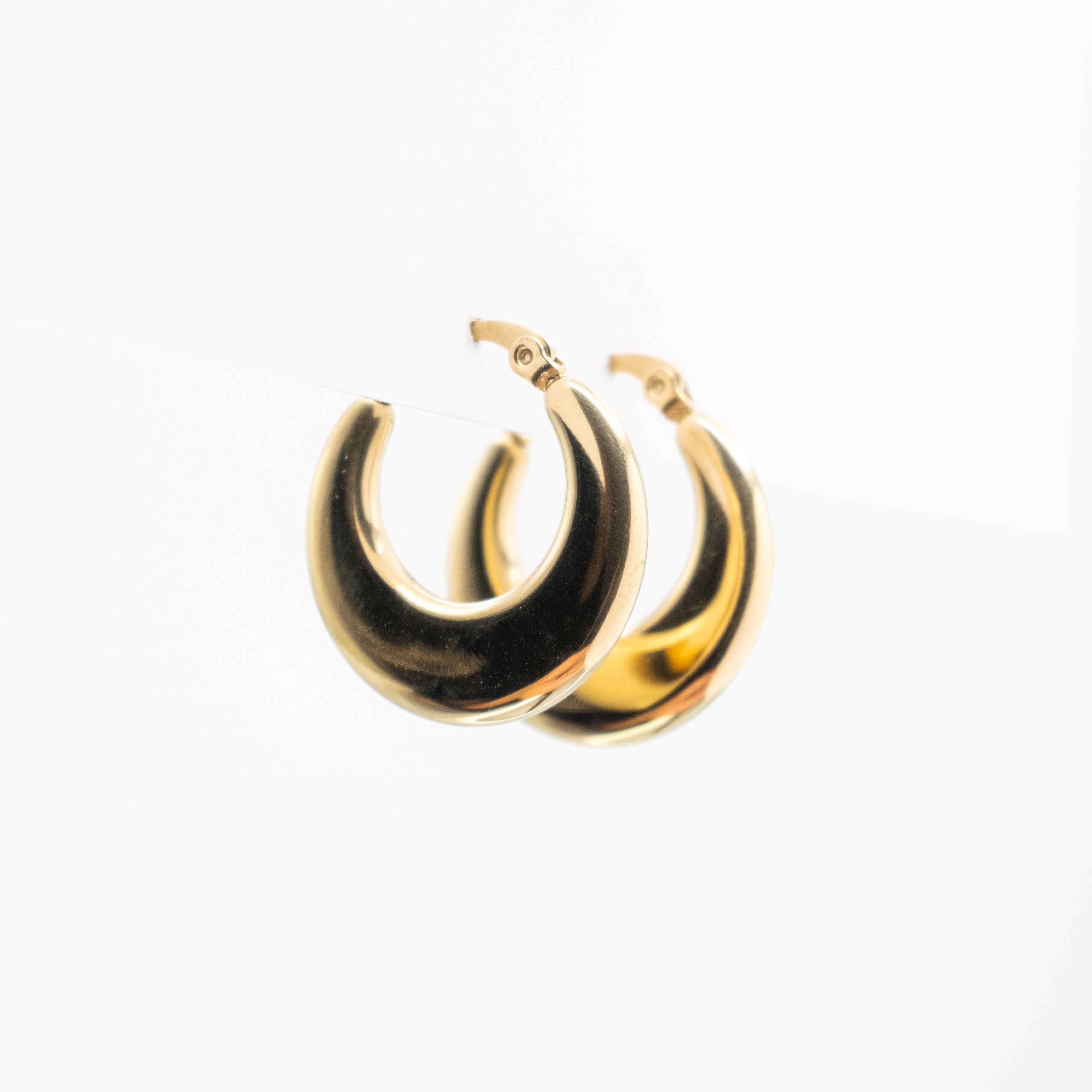 Aretes De Argolla