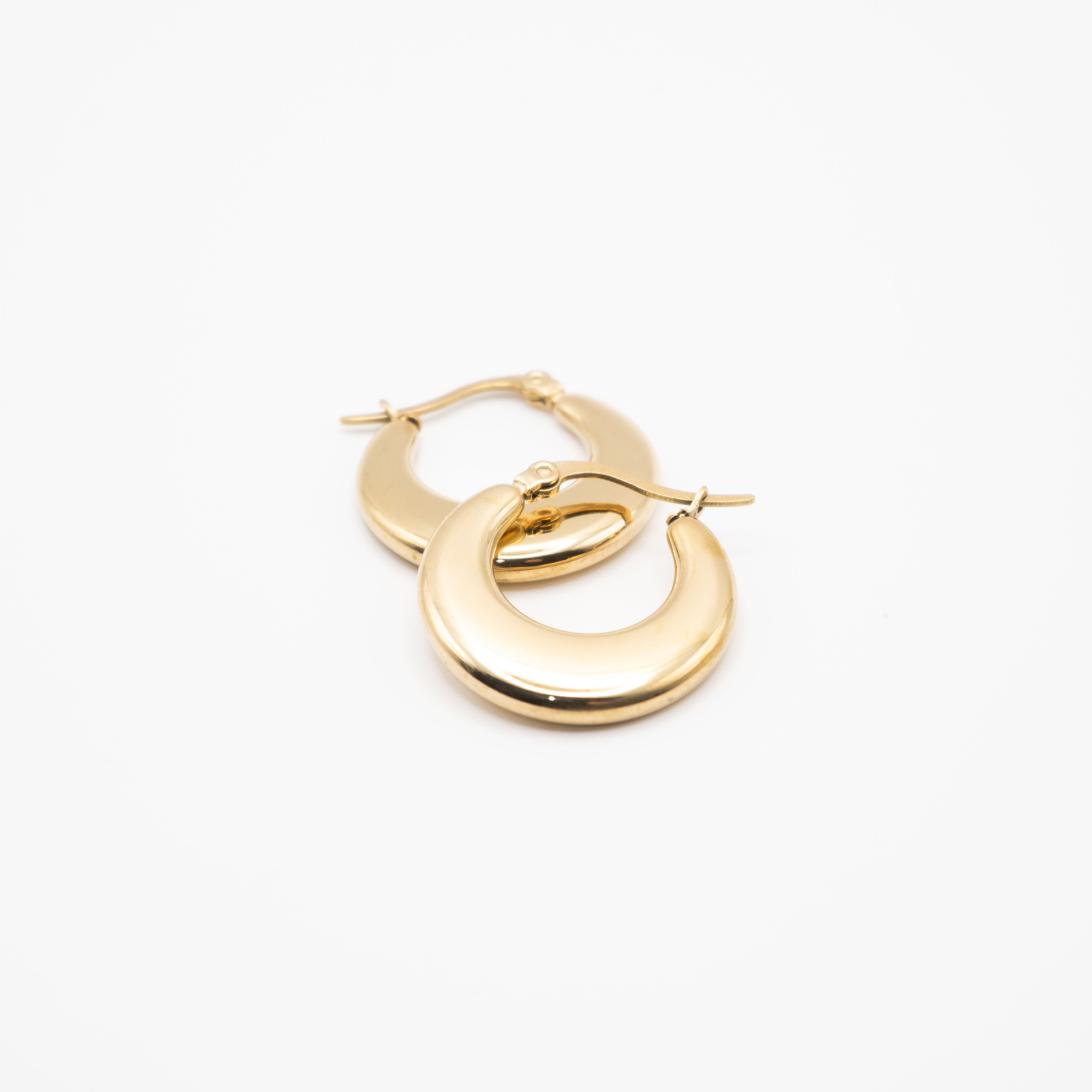Aretes De Argolla