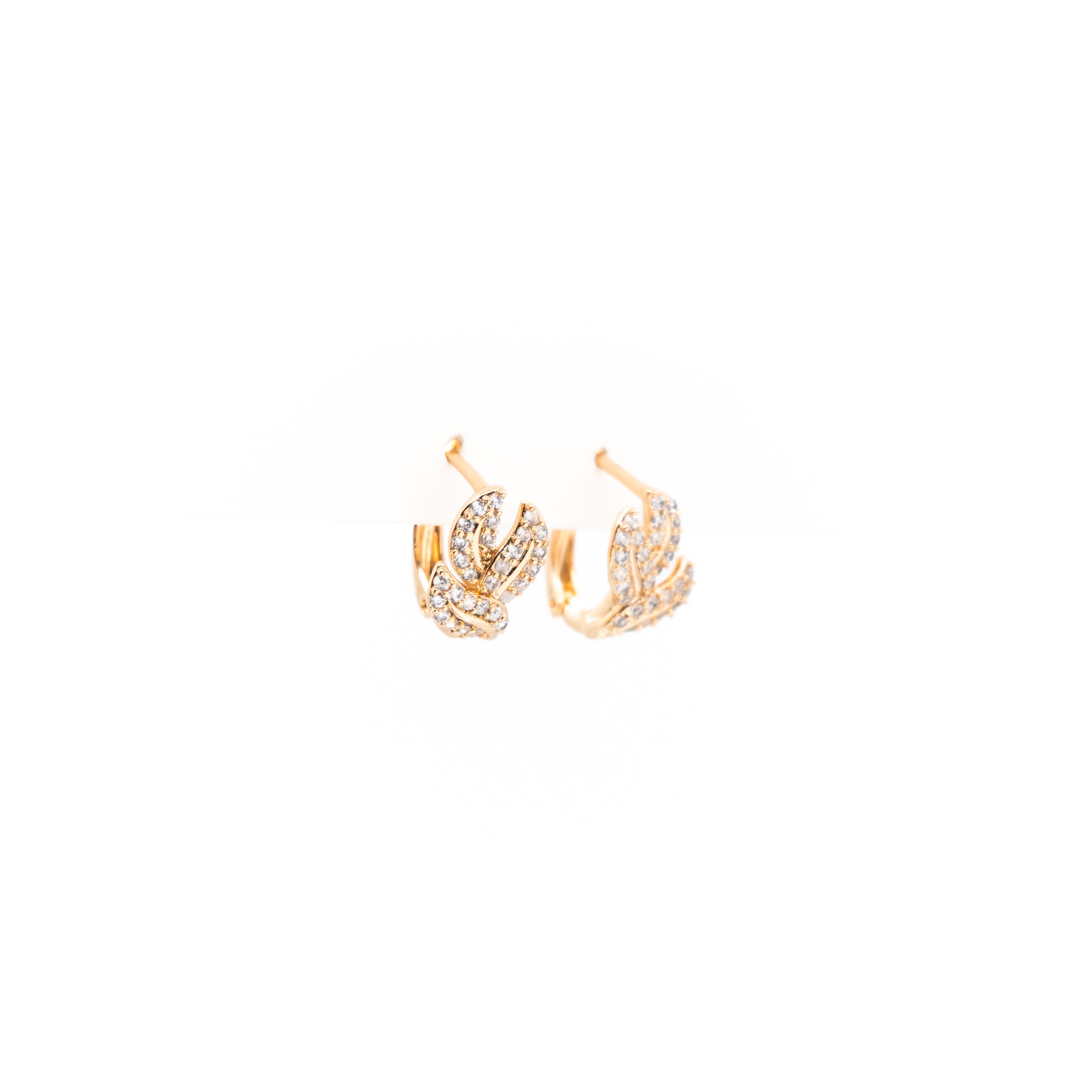 Aretes Entrelazados Strass