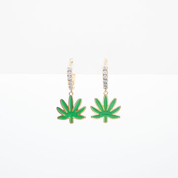 Aretes De Planta Colgante