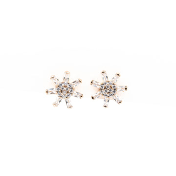 Aretes De Estrella De Circonia