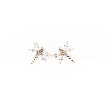 Aretes De Libélula