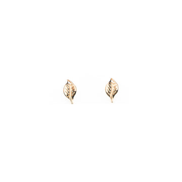 Aretes De Hoja