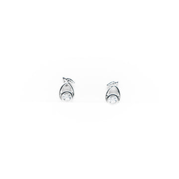 Aretes De Cigüeña