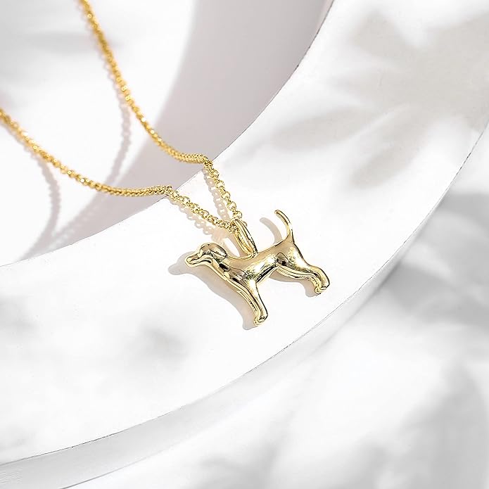 Collar Perro Yo Amo A Los Perros Y Gatos Figura