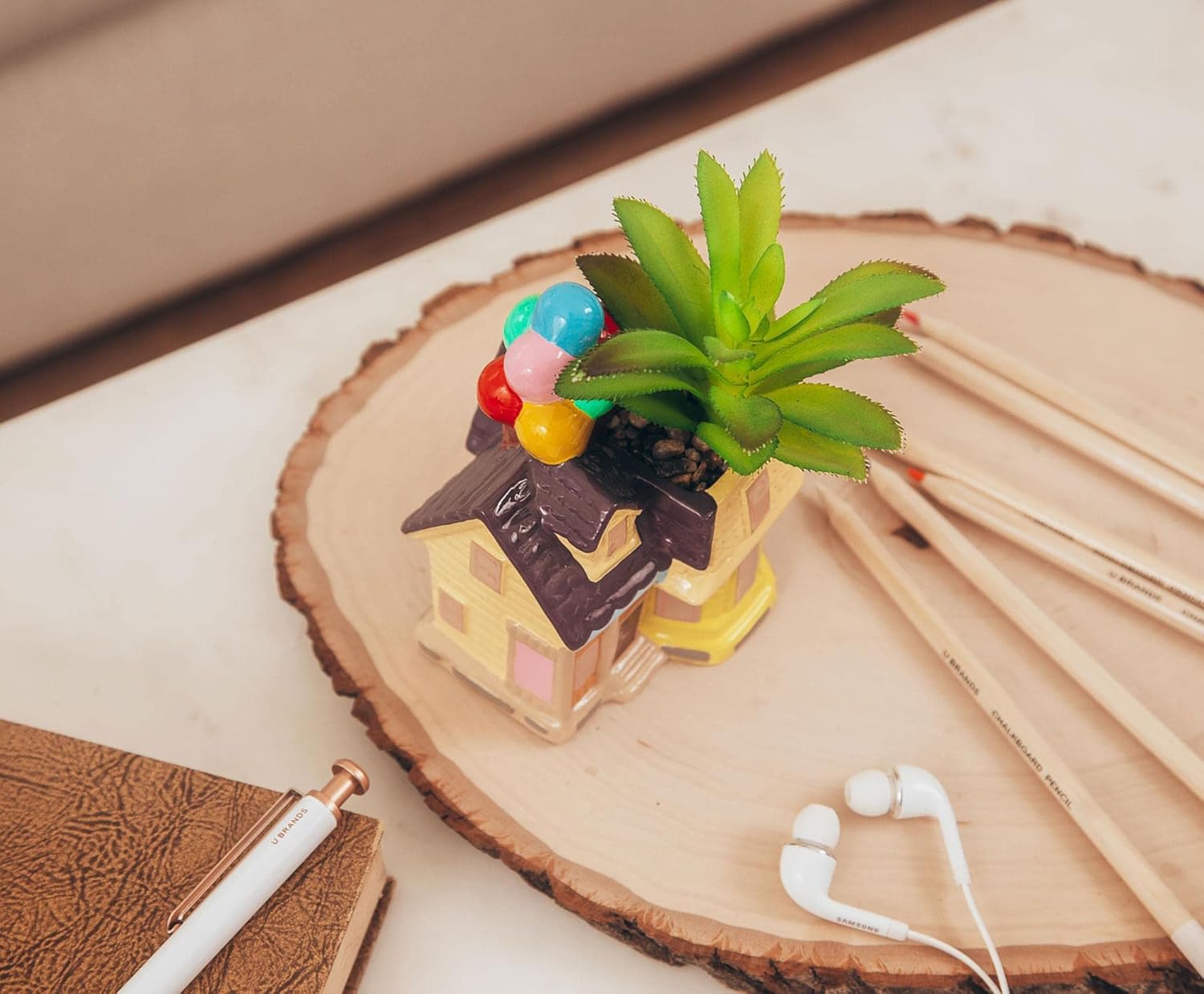 Up Pixar Casa Plantita Planta