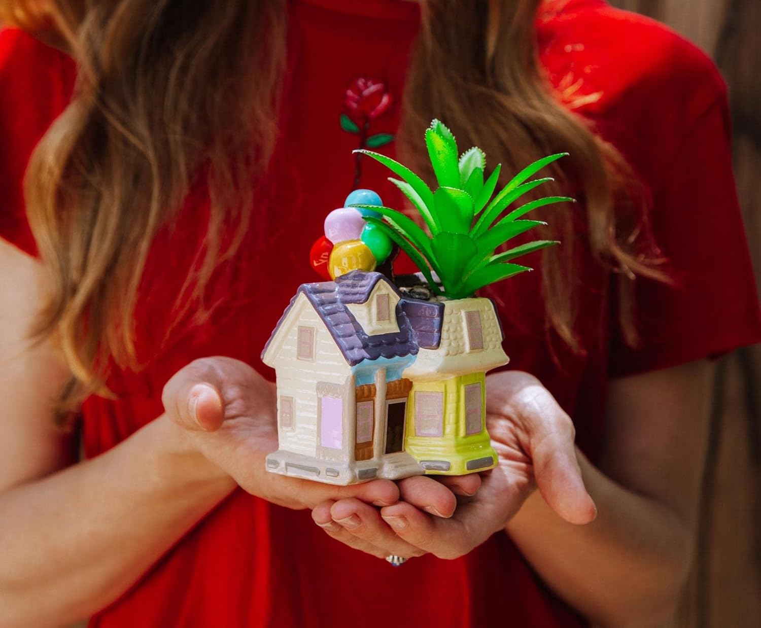 Up Pixar Casa Plantita Planta