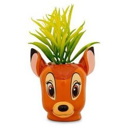 Bambi Rostro Planta Suculenta