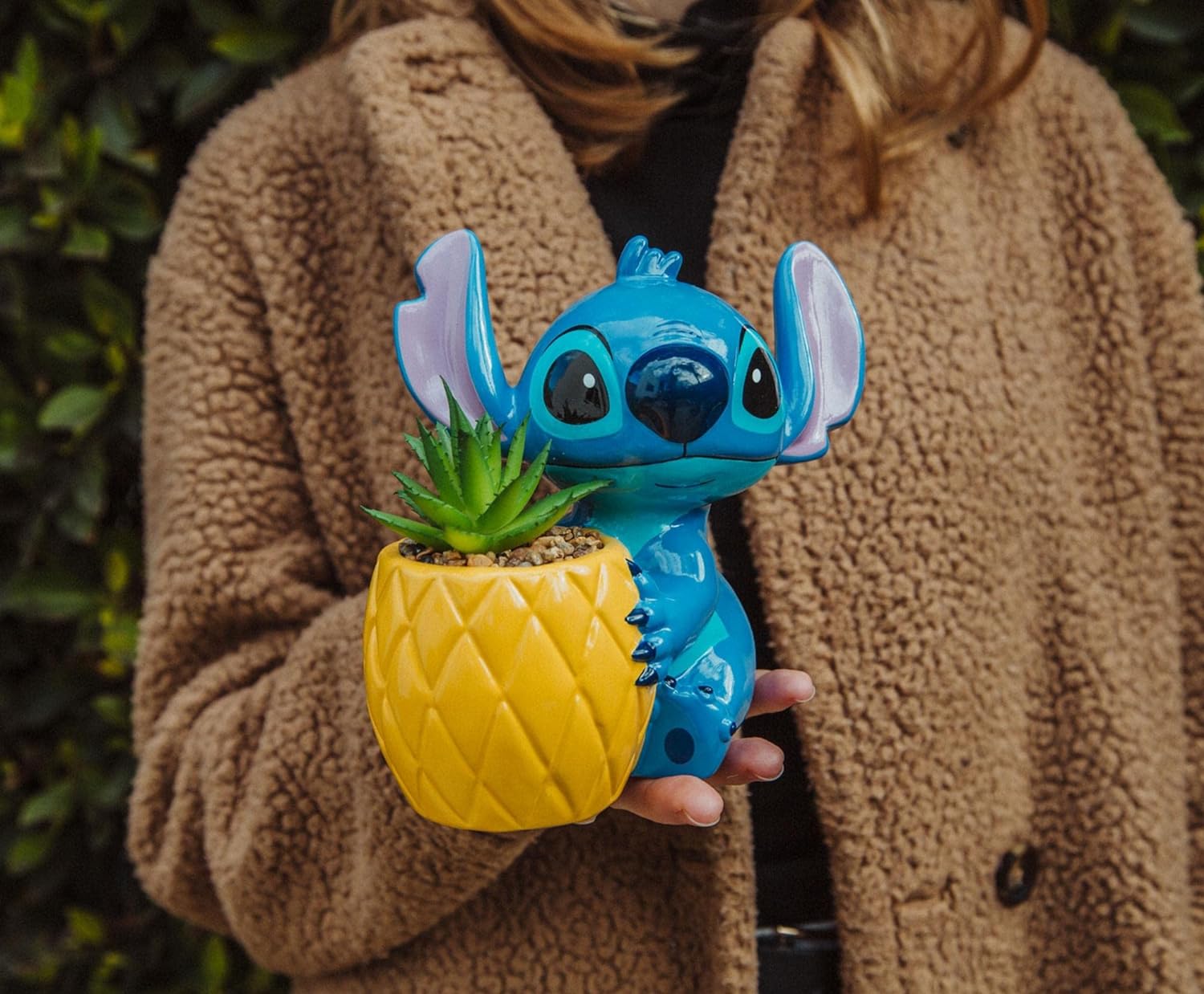 Stitch Planta Suculenta Piña