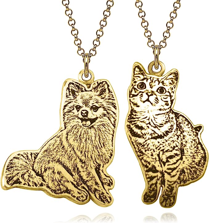 Collar Mascota Personalizado Con Fotografia Plata .925
